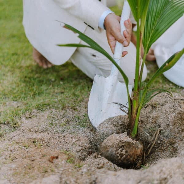 %Paradise Koh Yao resort%